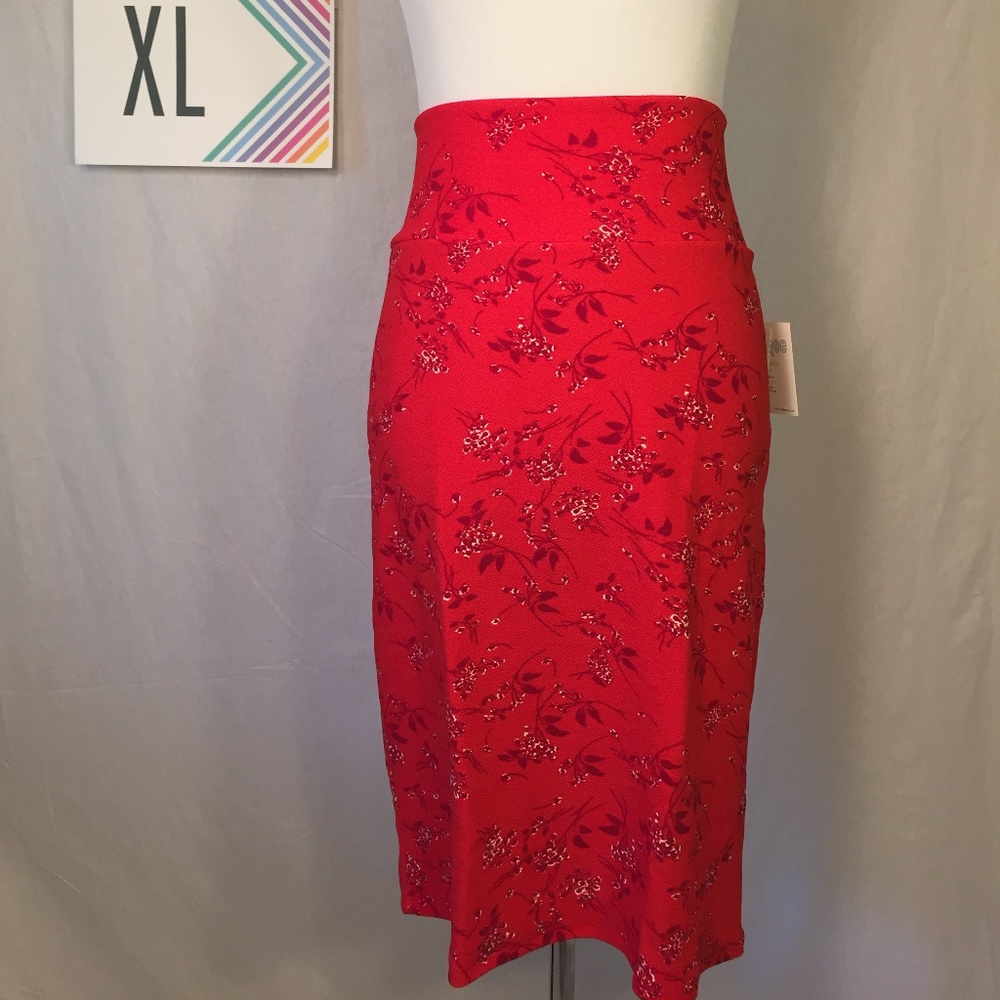 NWT LuLaRoe Cassie Skirt